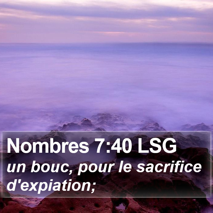 Nombres 7:40 LSG Bible Study
