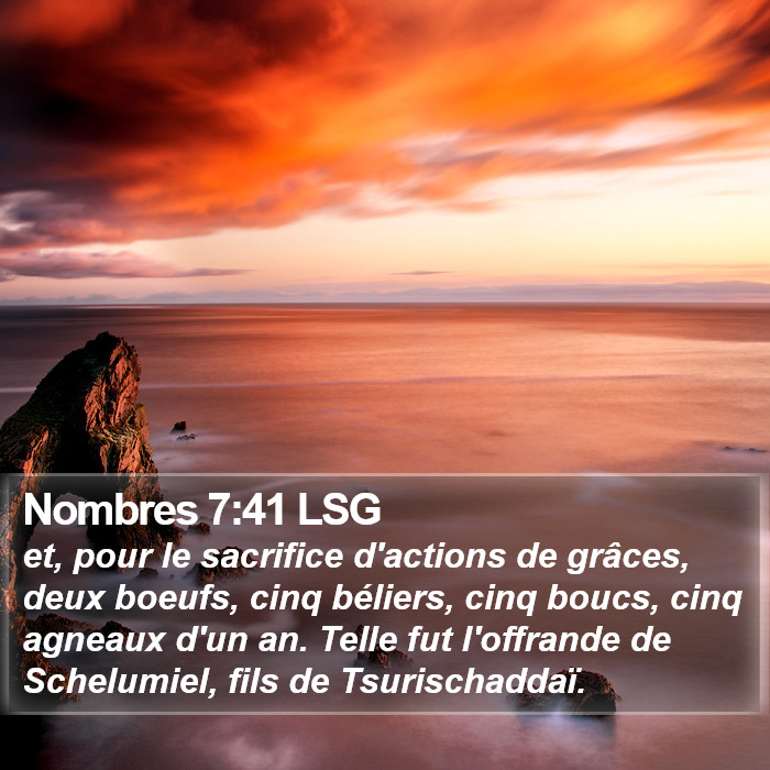 Nombres 7:41 LSG Bible Study