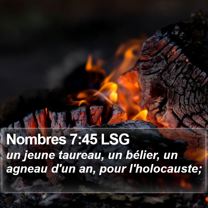 Nombres 7:45 LSG Bible Study