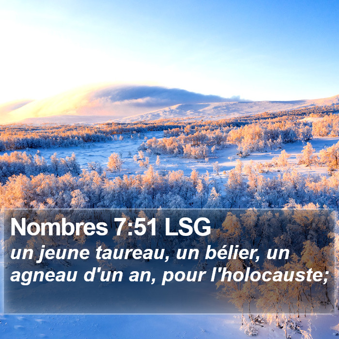 Nombres 7:51 LSG Bible Study
