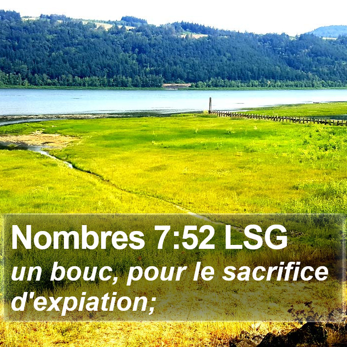 Nombres 7:52 LSG Bible Study