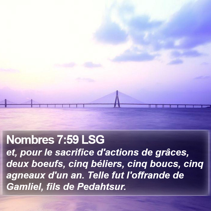 Nombres 7:59 LSG Bible Study
