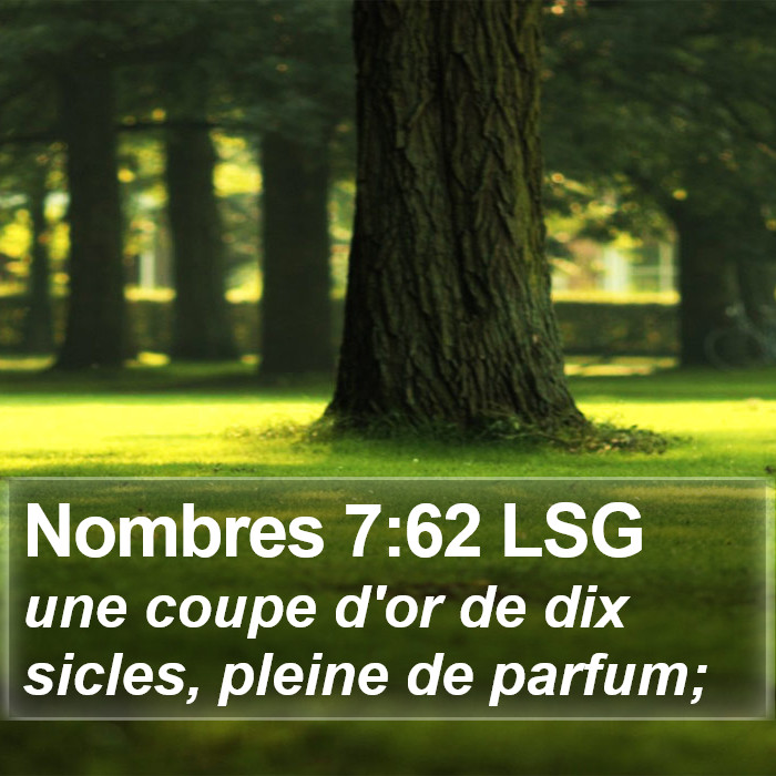 Nombres 7:62 LSG Bible Study