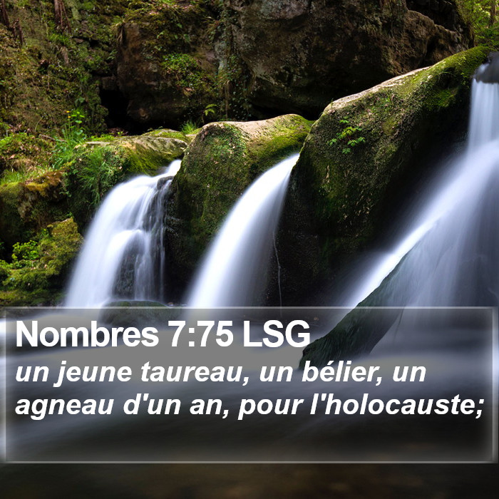 Nombres 7:75 LSG Bible Study