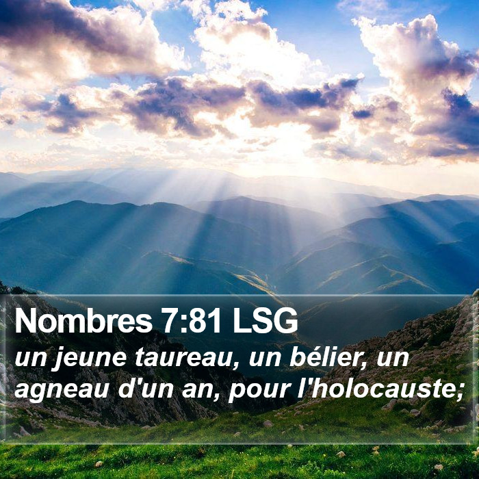 Nombres 7:81 LSG Bible Study
