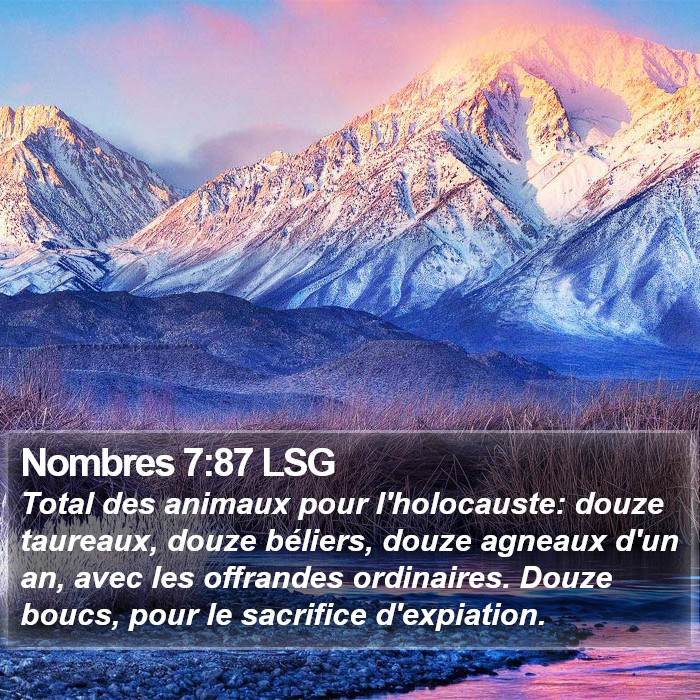 Nombres 7:87 LSG Bible Study
