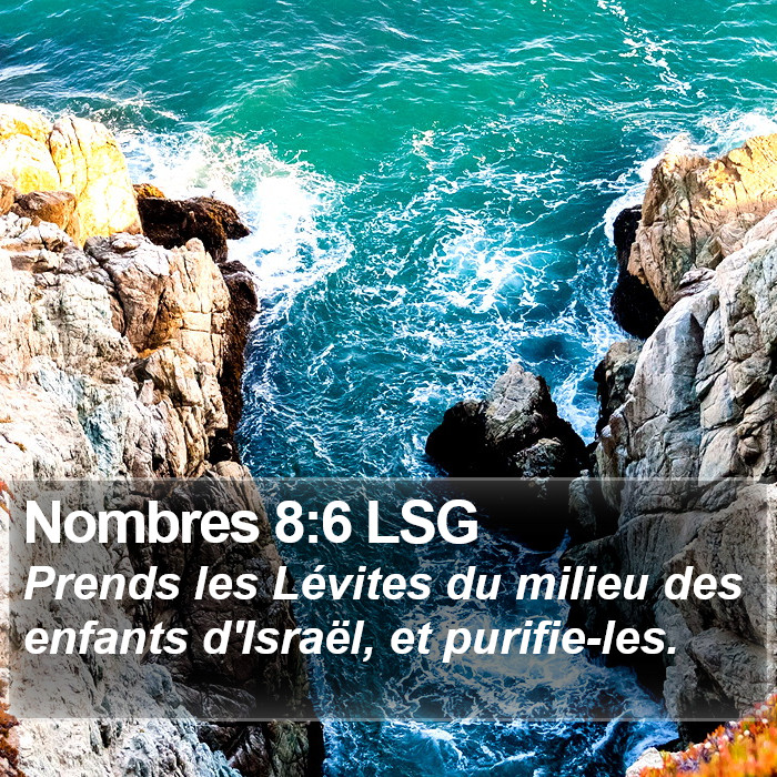 Nombres 8:6 LSG Bible Study