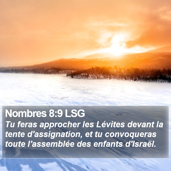 Nombres 8:9 LSG Bible Study