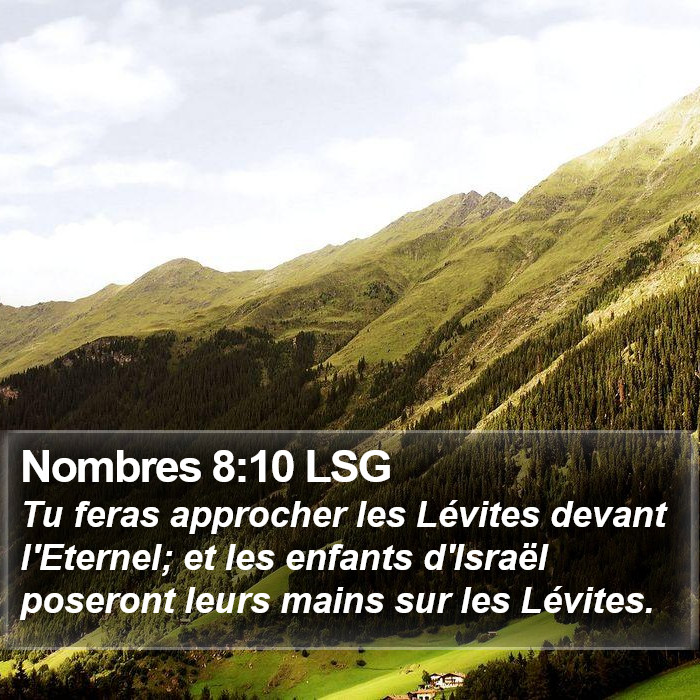 Nombres 8:10 LSG Bible Study