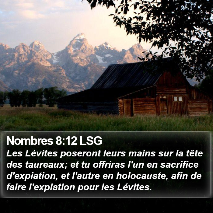 Nombres 8:12 LSG Bible Study