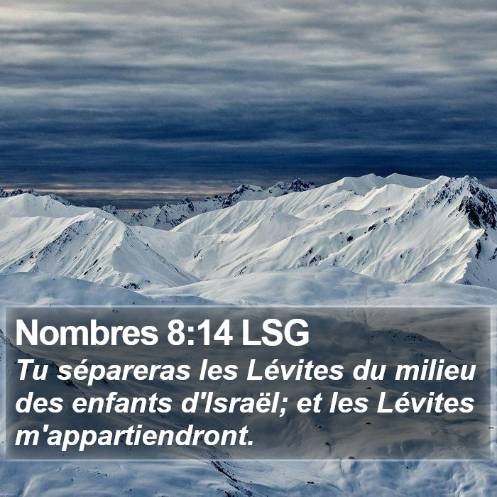 Nombres 8:14 LSG Bible Study