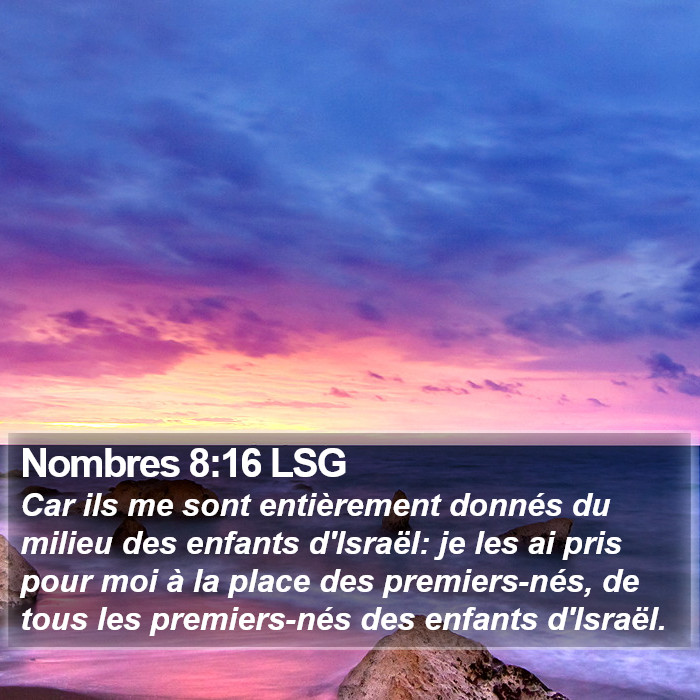 Nombres 8:16 LSG Bible Study