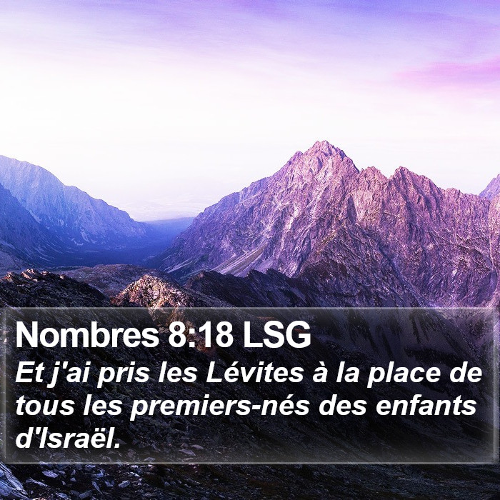 Nombres 8:18 LSG Bible Study