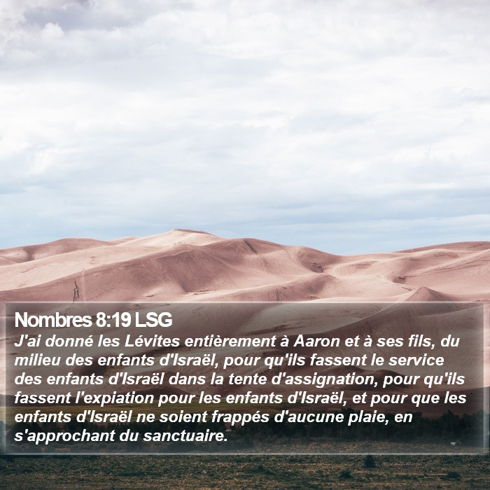 Nombres 8:19 LSG Bible Study