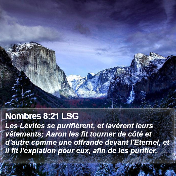 Nombres 8:21 LSG Bible Study