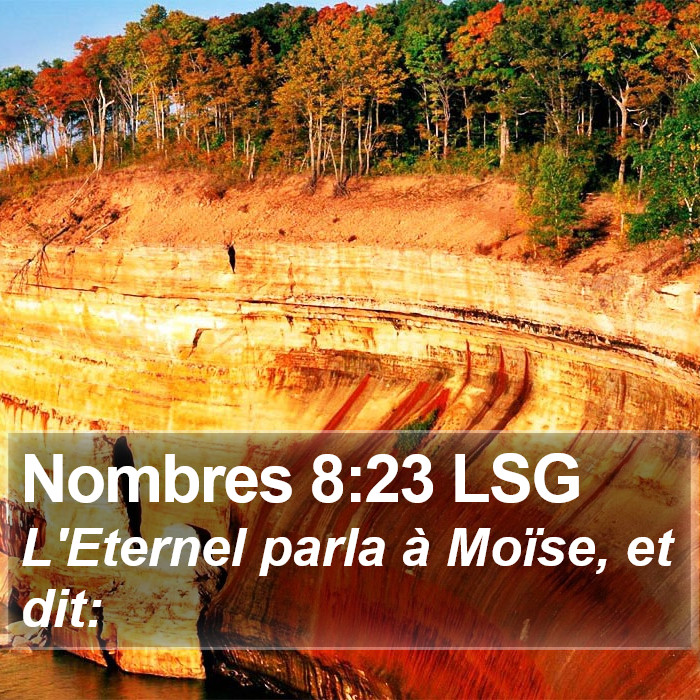 Nombres 8:23 LSG Bible Study