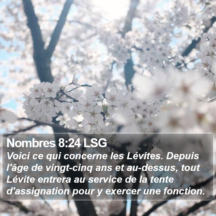 Nombres 8:24 LSG Bible Study