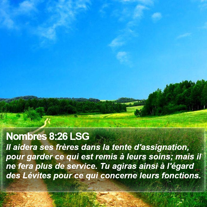 Nombres 8:26 LSG Bible Study