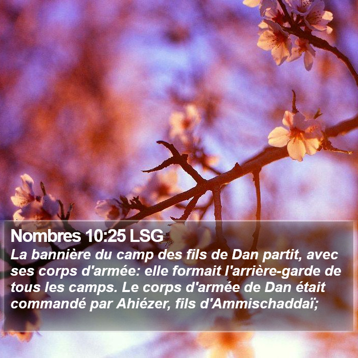 Nombres 10:25 LSG Bible Study