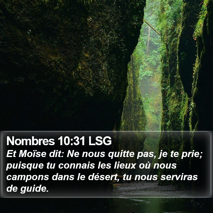 Nombres 10:31 LSG Bible Study