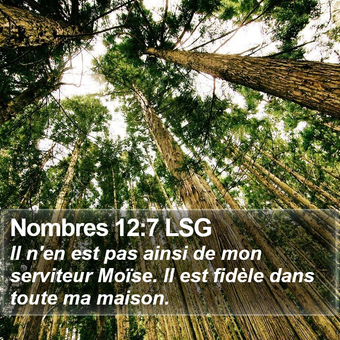 Nombres 12:7 LSG Bible Study