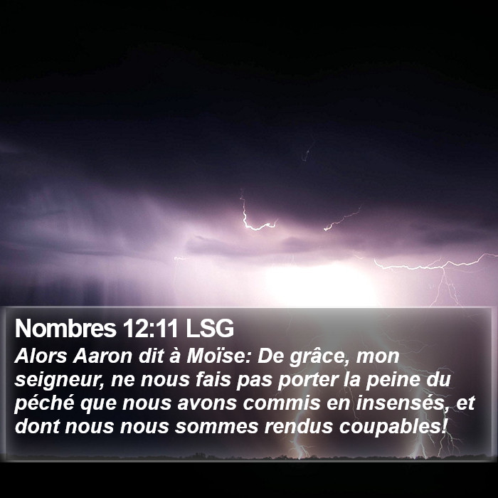 Nombres 12:11 LSG Bible Study