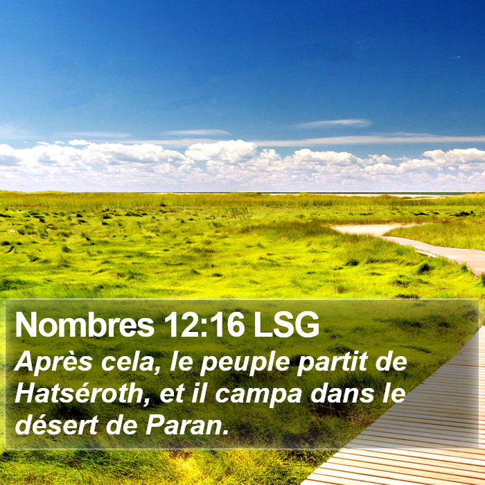 Nombres 12:16 LSG Bible Study