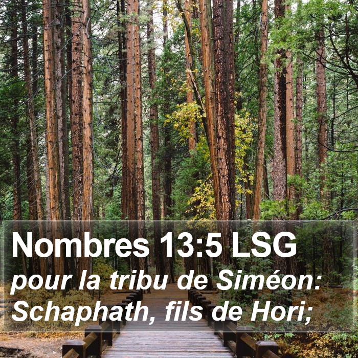 Nombres 13:5 LSG Bible Study