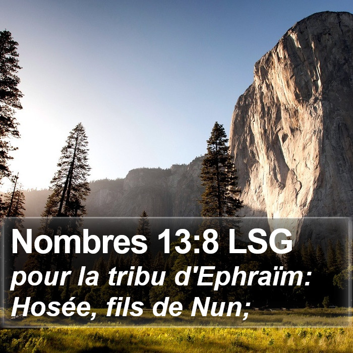 Nombres 13:8 LSG Bible Study