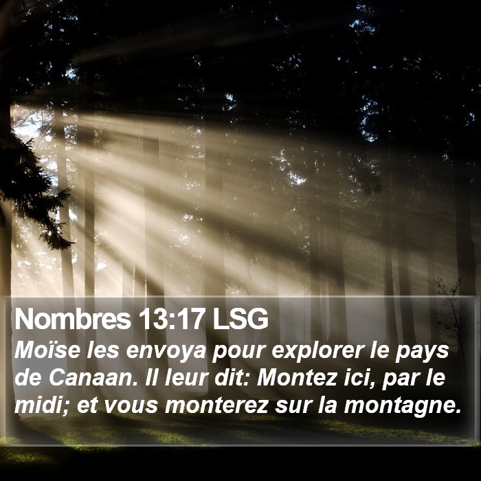 Nombres 13:17 LSG Bible Study