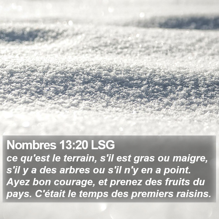 Nombres 13:20 LSG Bible Study