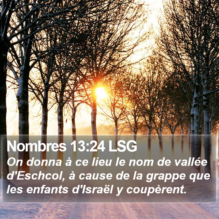 Nombres 13:24 LSG Bible Study