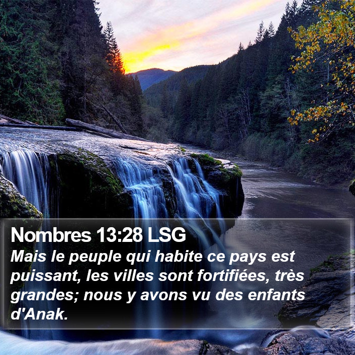 Nombres 13:28 LSG Bible Study