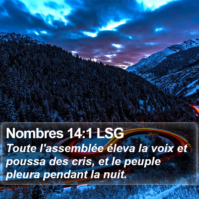 Nombres 14:1 LSG Bible Study