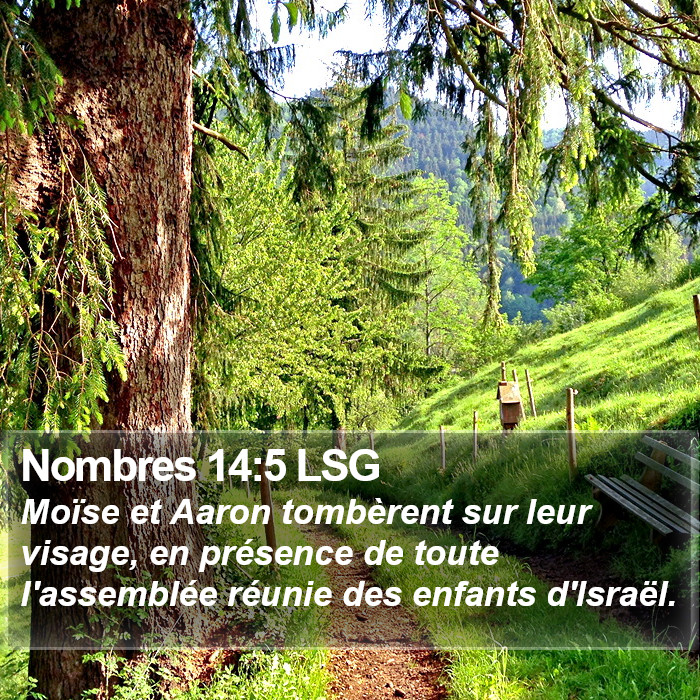 Nombres 14:5 LSG Bible Study