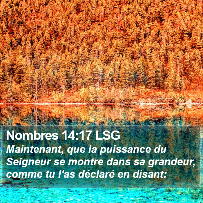 Nombres 14:17 LSG Bible Study