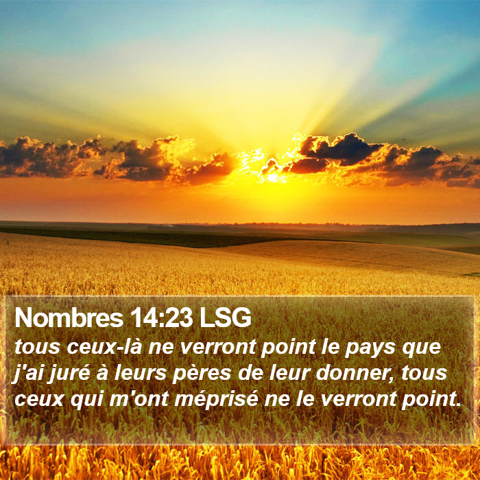 Nombres 14:23 LSG Bible Study