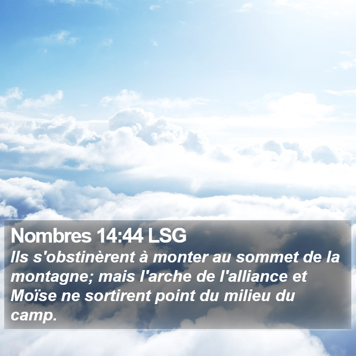 Nombres 14:44 LSG Bible Study