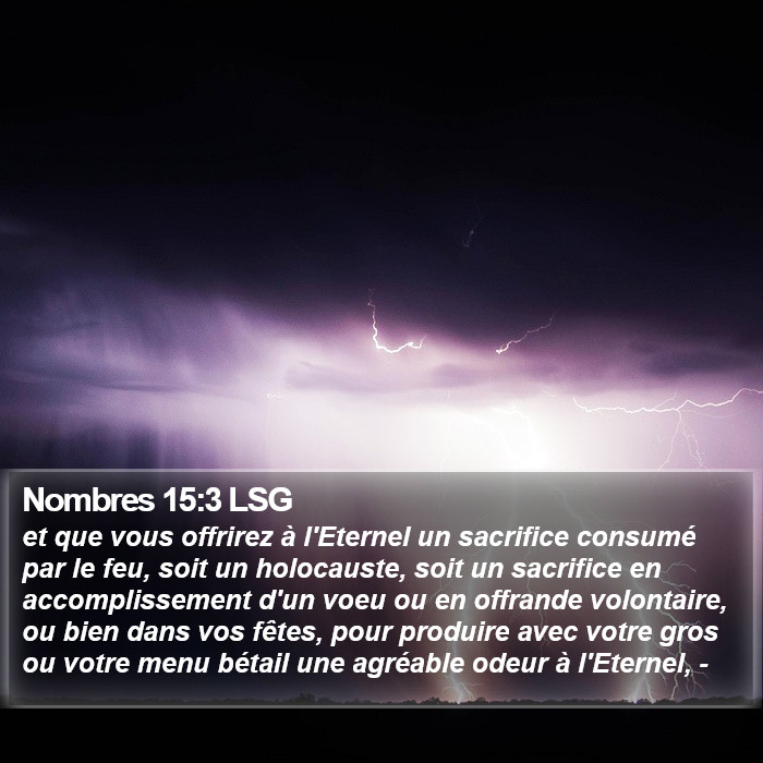 Nombres 15:3 LSG Bible Study