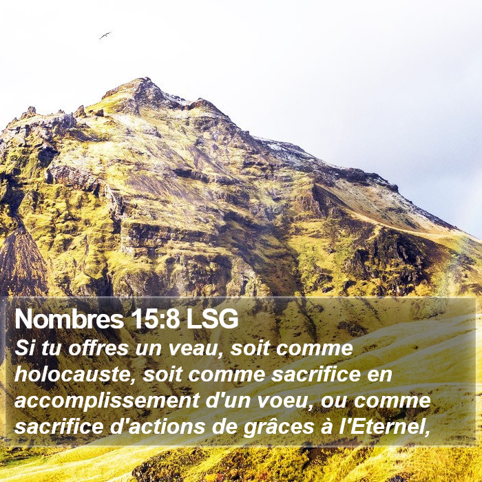 Nombres 15:8 LSG Bible Study