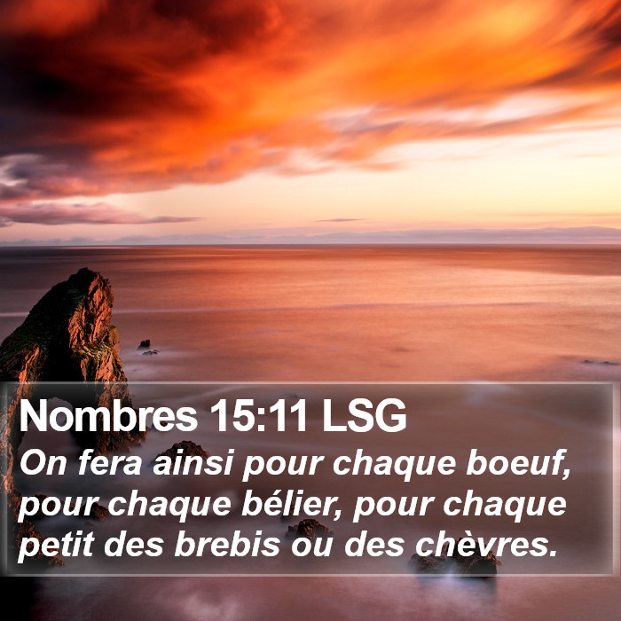 Nombres 15:11 LSG Bible Study