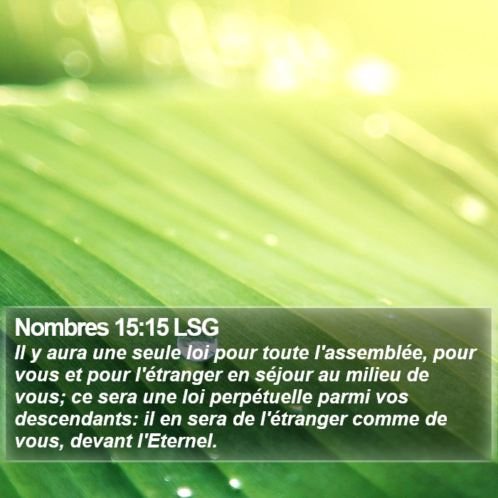 Nombres 15:15 LSG Bible Study