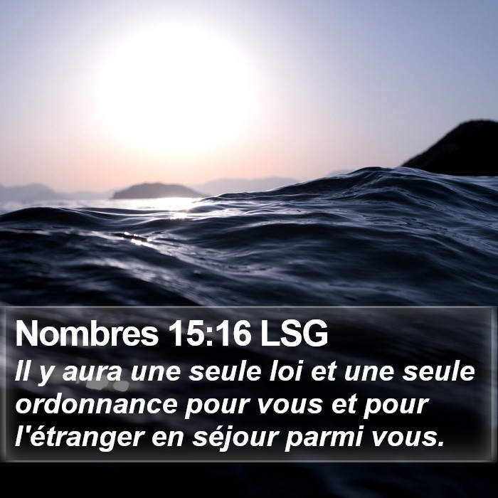 Nombres 15:16 LSG Bible Study