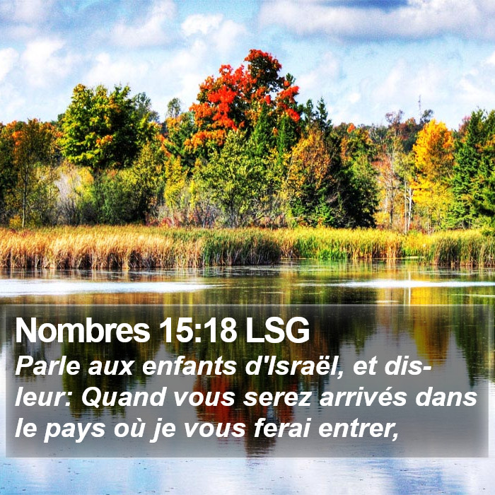 Nombres 15:18 LSG Bible Study