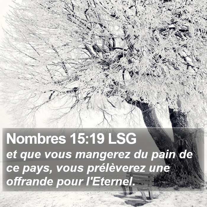 Nombres 15:19 LSG Bible Study