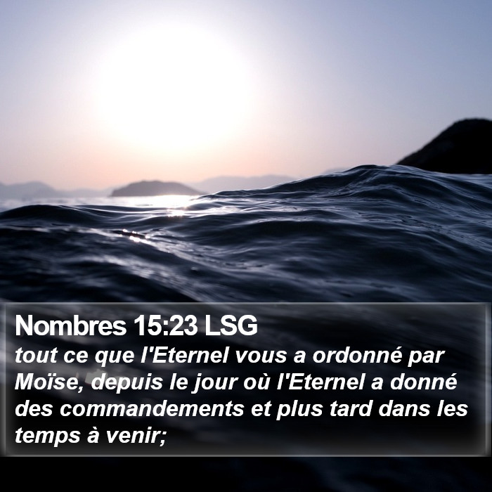 Nombres 15:23 LSG Bible Study