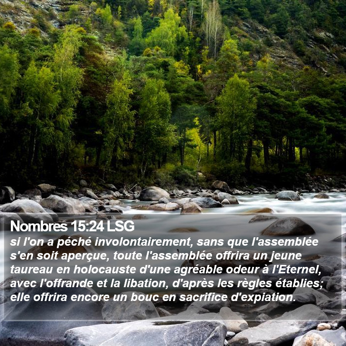 Nombres 15:24 LSG Bible Study
