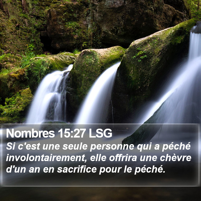 Nombres 15:27 LSG Bible Study