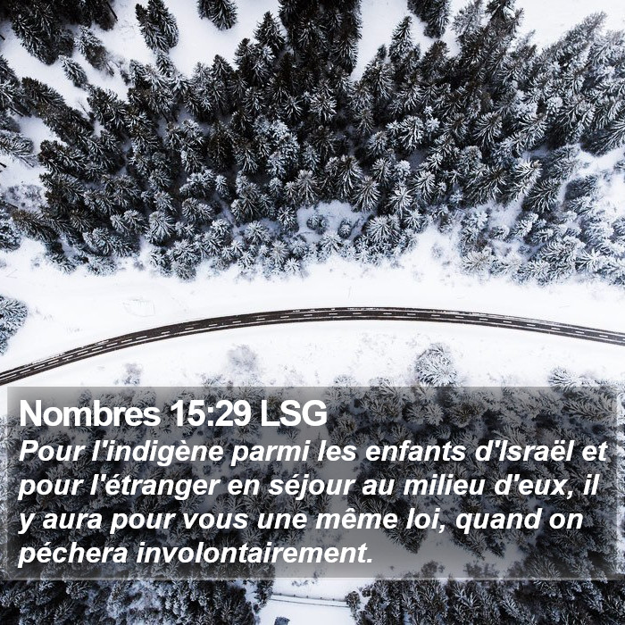 Nombres 15:29 LSG Bible Study