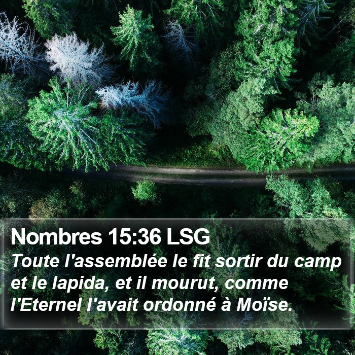 Nombres 15:36 LSG Bible Study